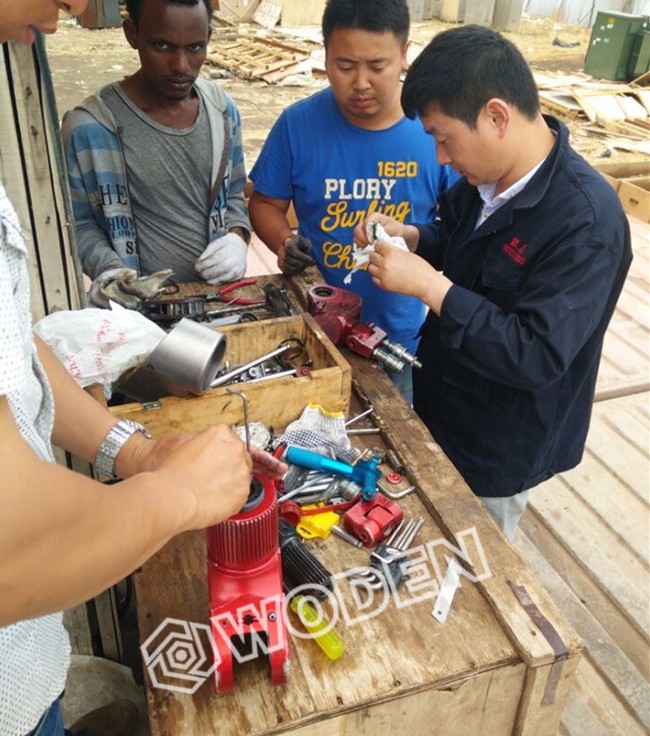 沃頓液壓扳手走出國門服務于非洲的風電企業